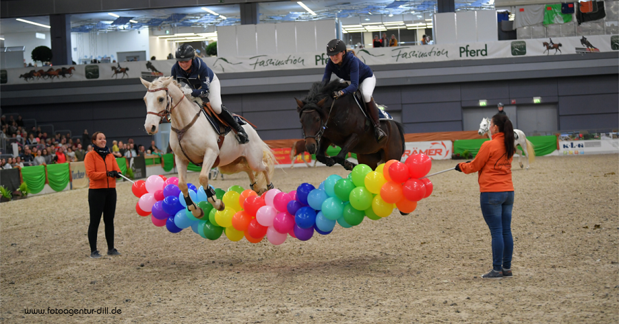 馬展，德國(guó)馬展，馬匹比賽